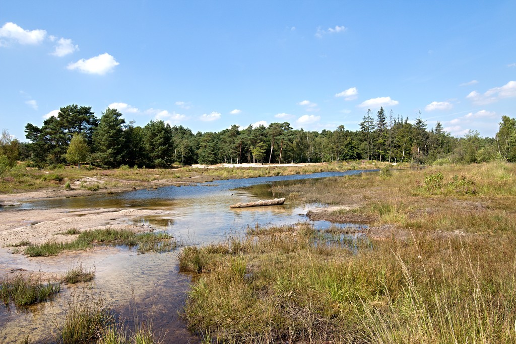 Brunssummerheide heide hei natuurgebied natuurmonumenten natuur recreatiegebied hdr limburg heidelandschap landschap sterrenwacht